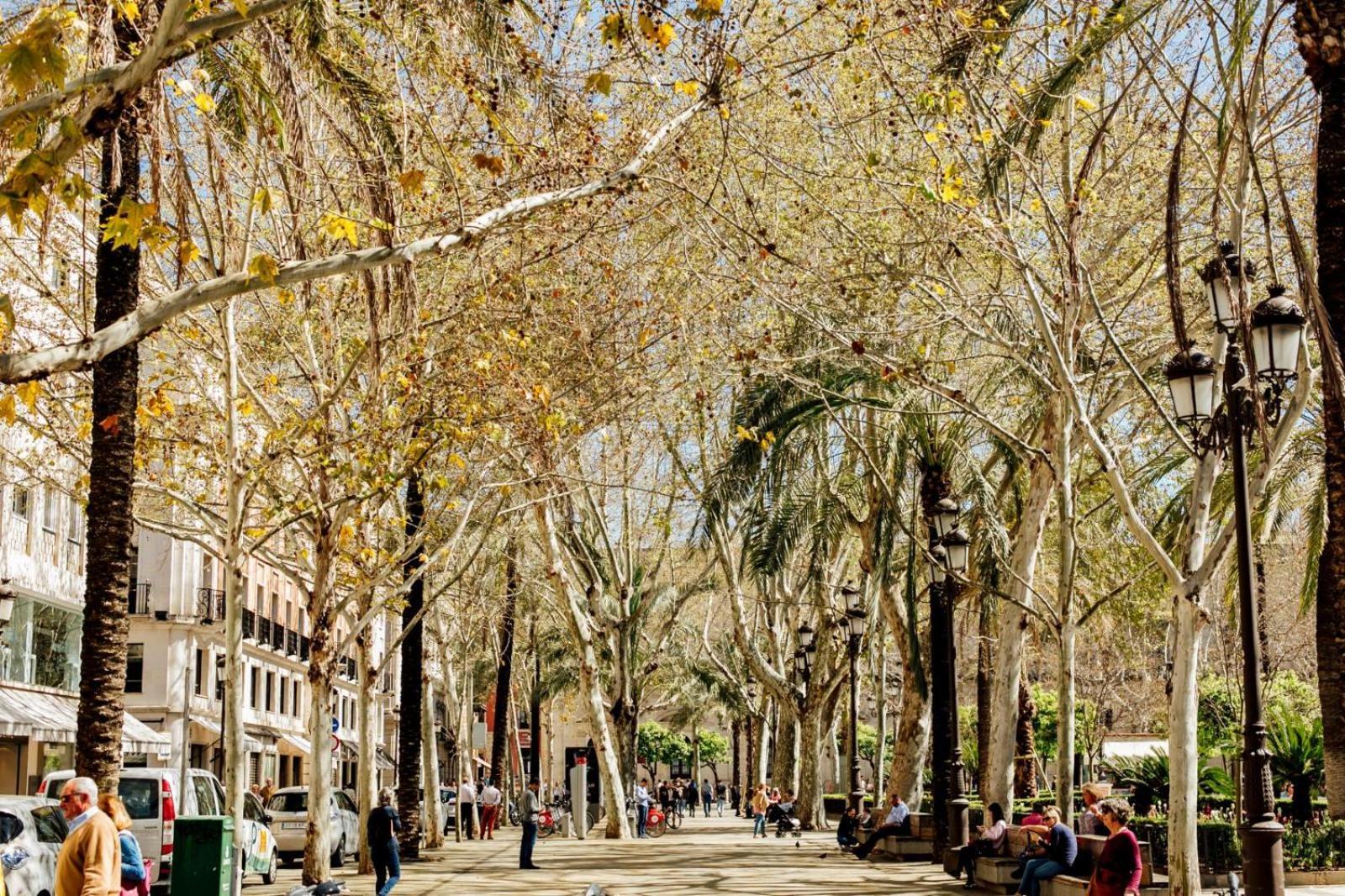 Plaza De La Magdalena I, Sevilla Centro Historico Dış mekan fotoğraf